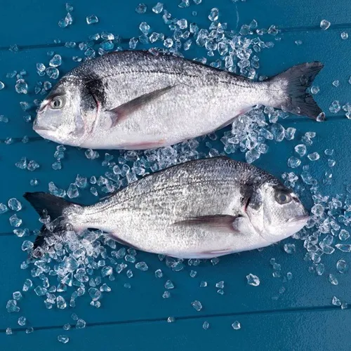 Dourada de Aquacultura na Brasa