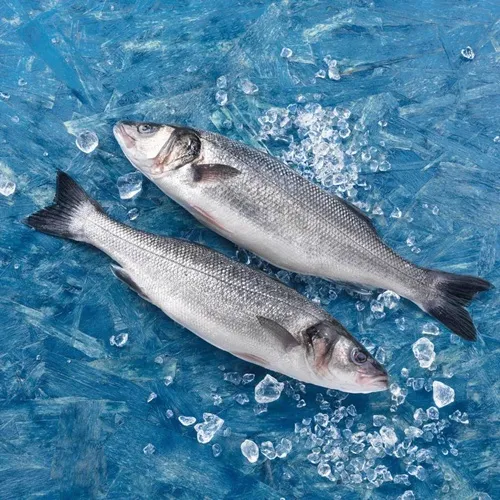 Robalo Selvagem na Brasa